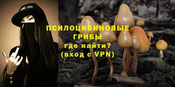 индика Балашиха